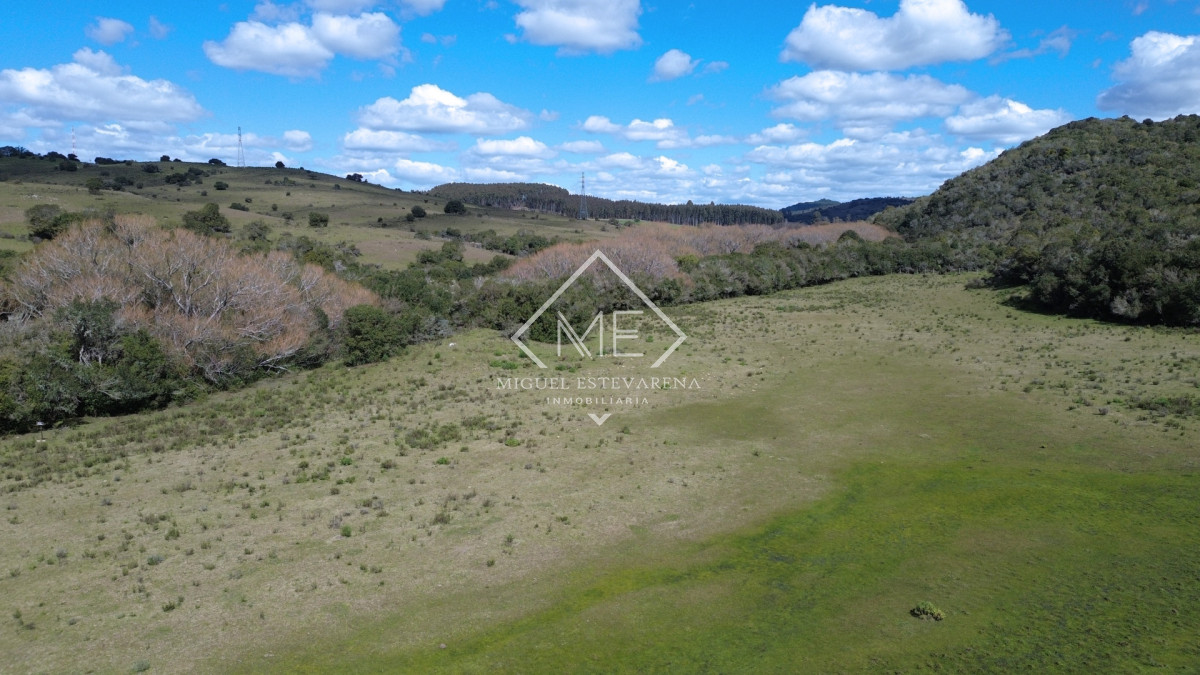 Chacra ID.897 - Chacra en Joyas del Ramallo - 5 Hás con Acceso a 130 Hás de Naturaleza y Arroyo