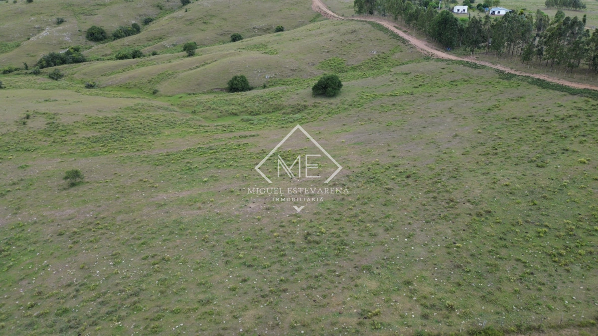 Chacra ID.867 - Oportunidad en Lavalleja: Chacra de Fácil Acceso y Lista para Escriturar