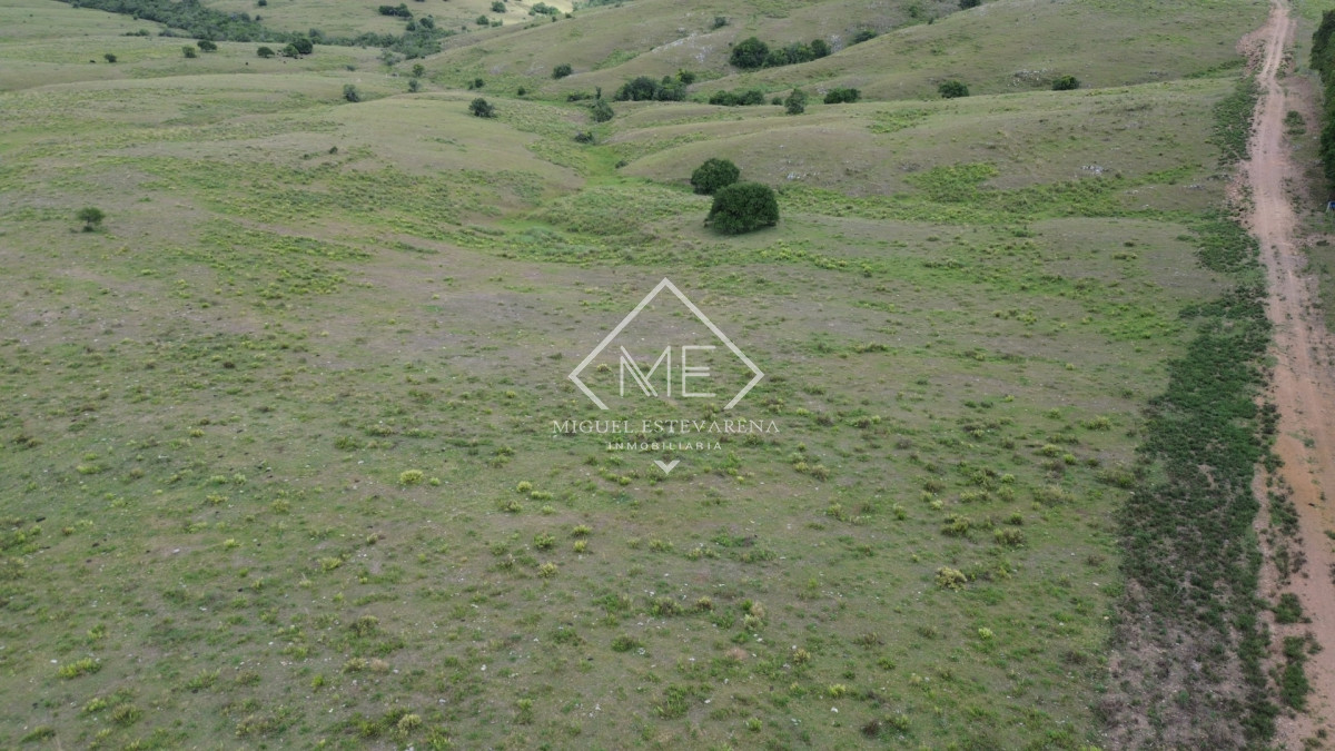 Chacra ID.867 - Oportunidad en Lavalleja: Chacra de Fácil Acceso y Lista para Escriturar