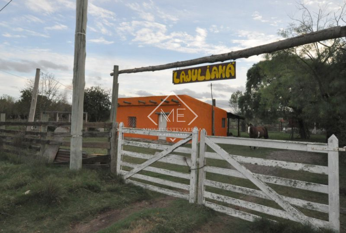 Chacra ID.253 - Chacra en venta Minas 2 dormitorios