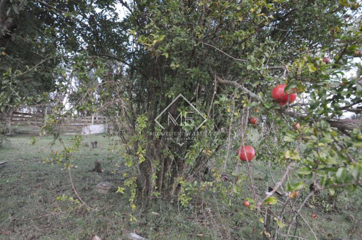 Chacra ID.253 - Chacra en venta Minas 2 dormitorios
