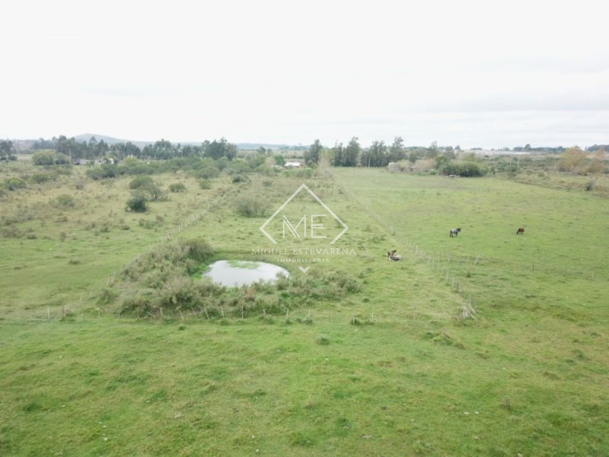 Chacra ID.253 - Chacra en venta Minas 2 dormitorios