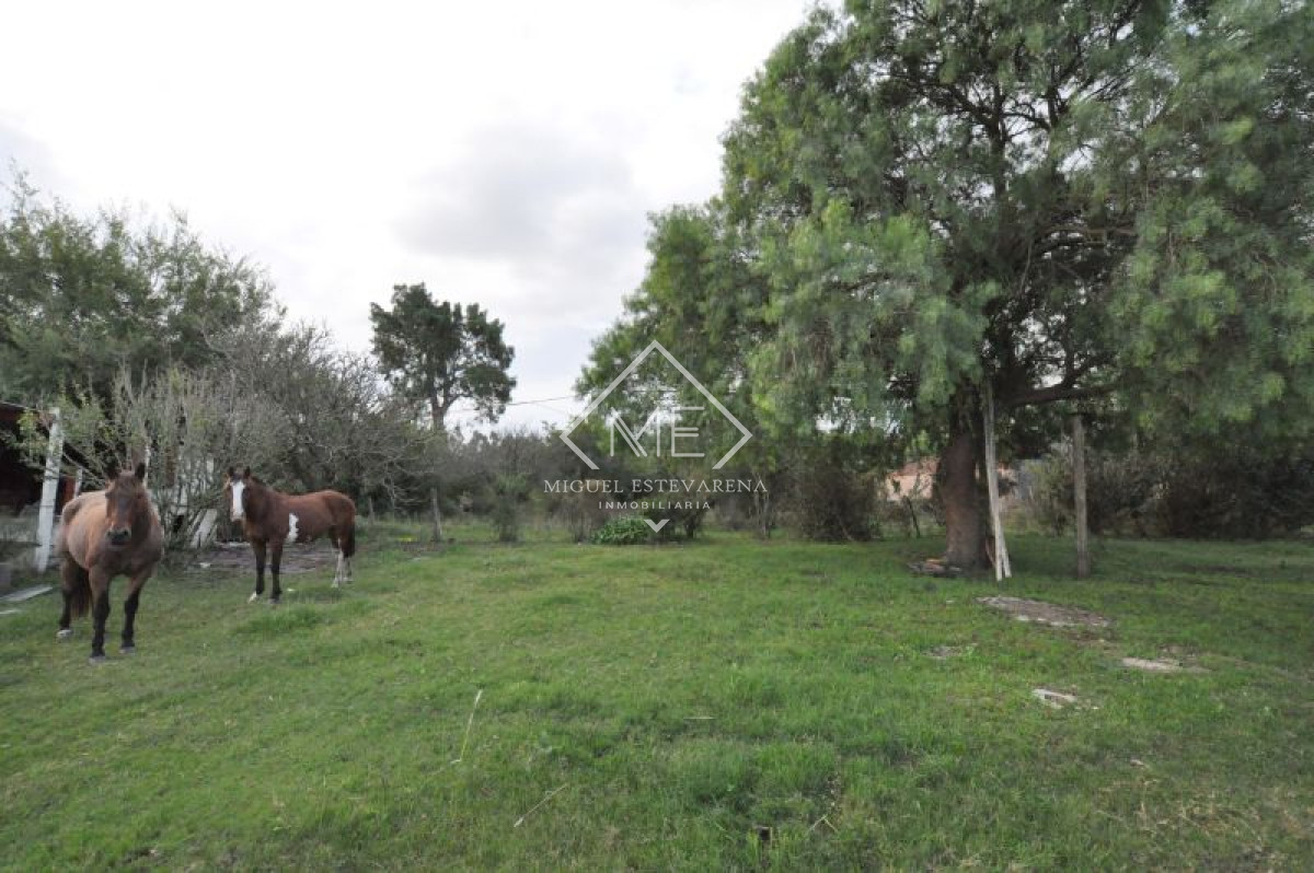 Chacra ID.253 - Chacra en venta Minas 2 dormitorios