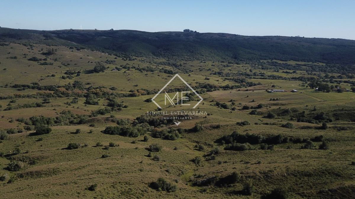 Chacra ID.447 - Chacra en venta Minas 