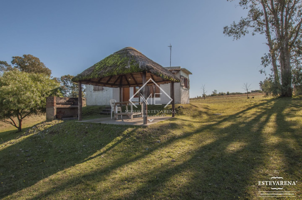 Chacra ID.460 - Chacra en venta Minas 8 dormitorios