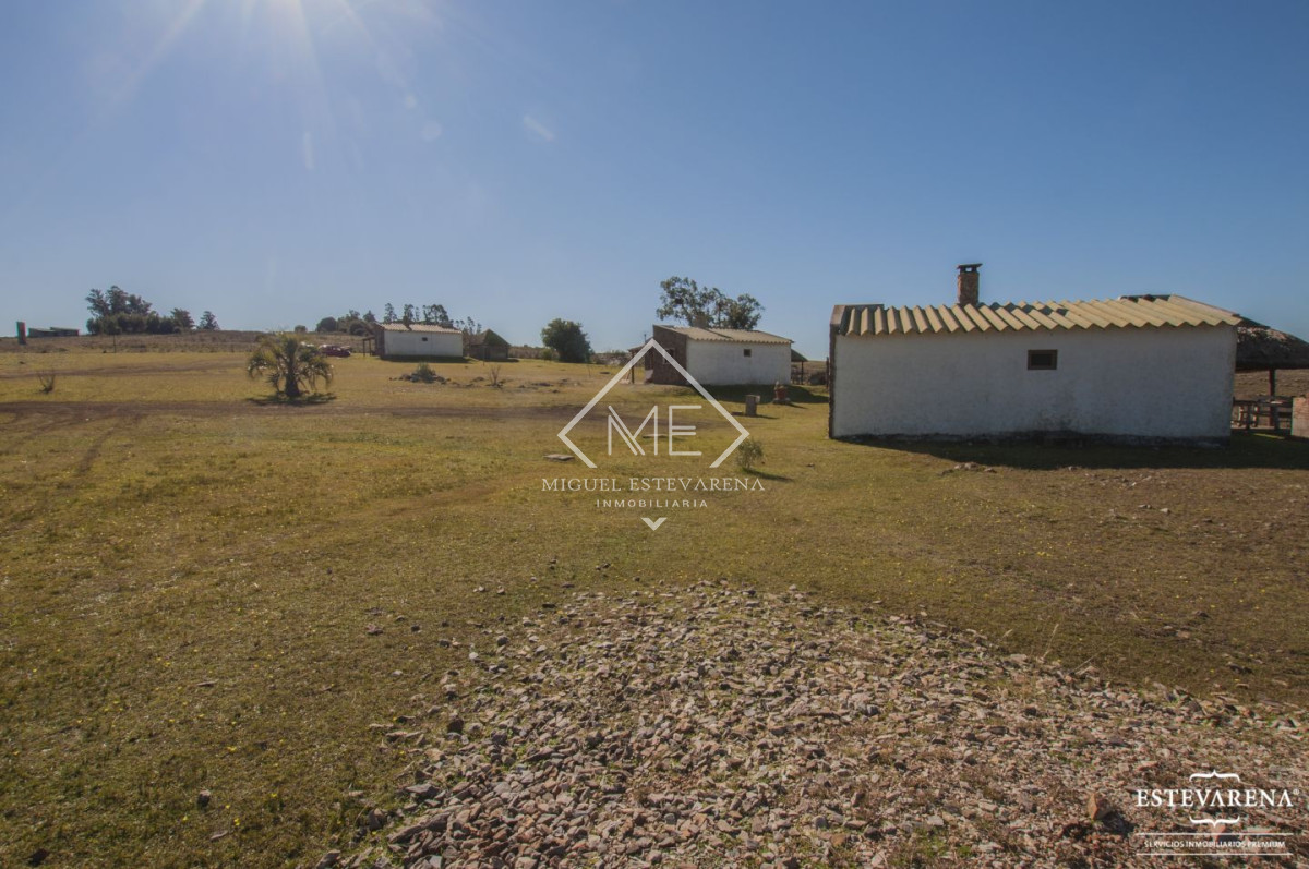 Chacra ID.460 - Chacra en venta Minas 8 dormitorios