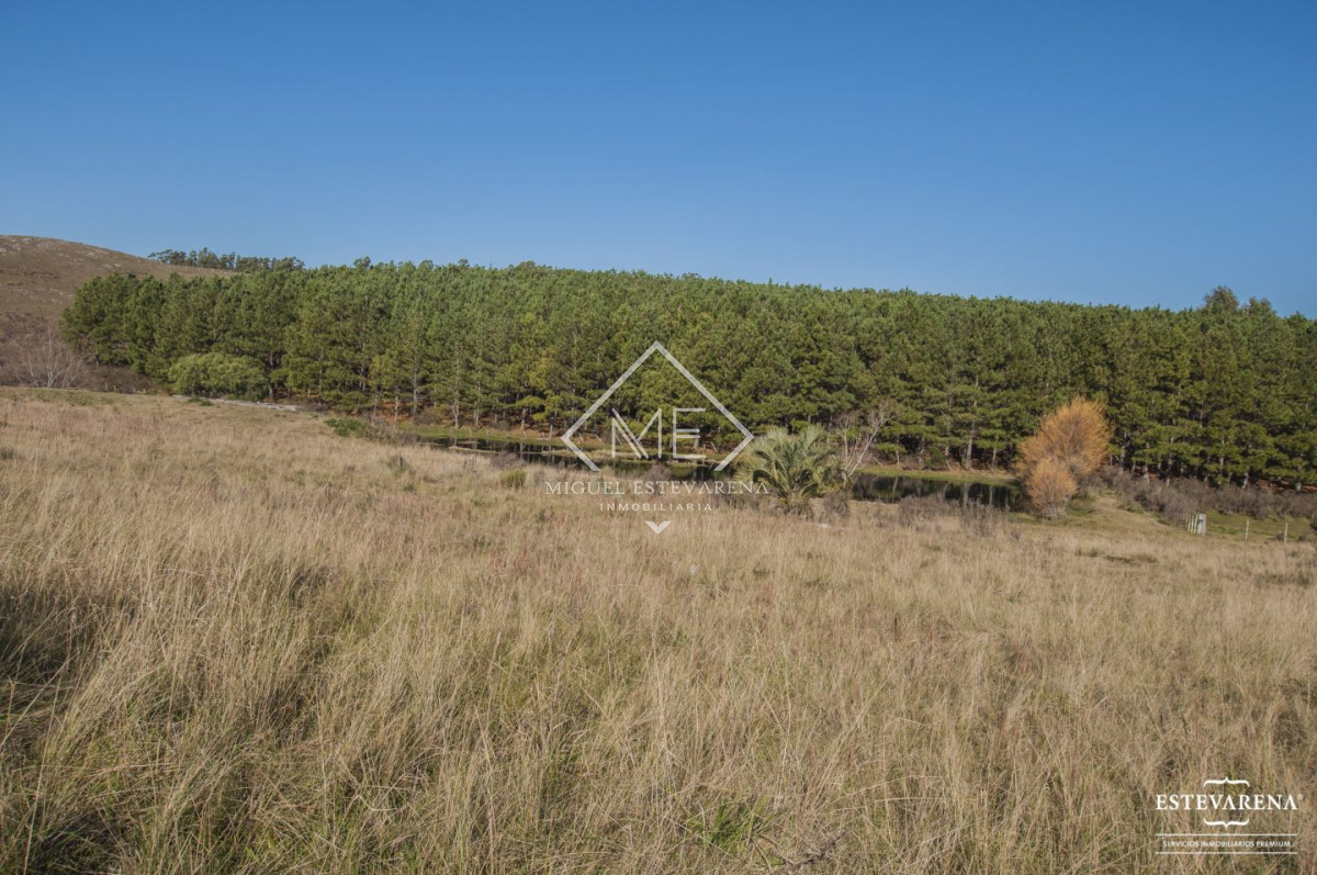 Chacra ID.460 - Chacra en venta Minas 8 dormitorios