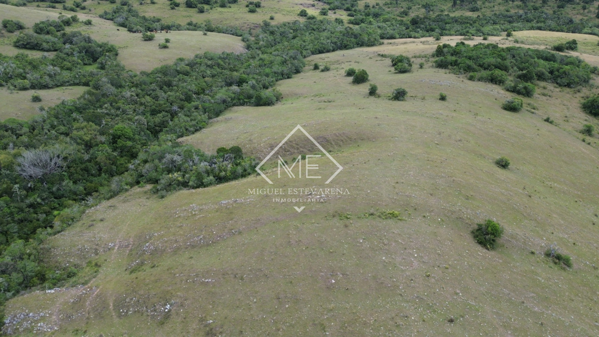 Chacra ID.869 - Oportunidad en Los Tapes - Chacra con Agua Natural y Financiación