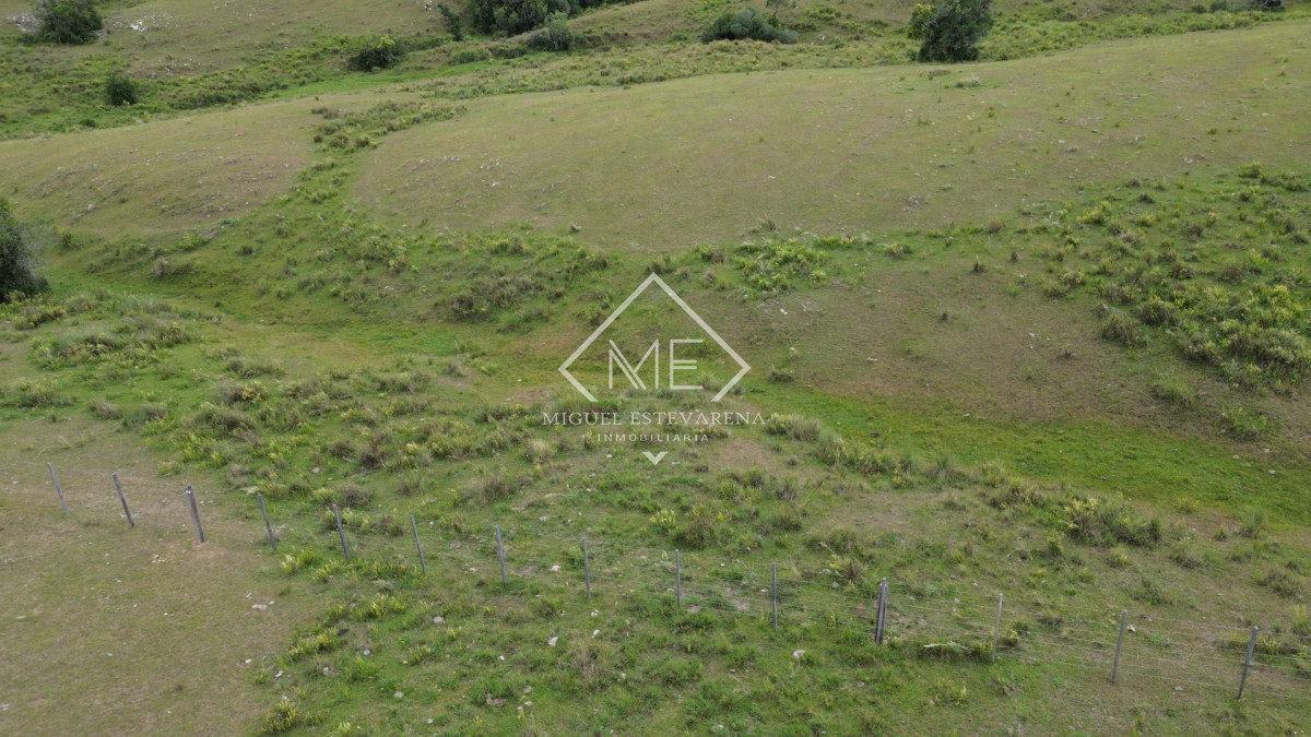 Chacra ID.867 - Oportunidad en Lavalleja: Chacra de Fácil Acceso y Lista para Escriturar