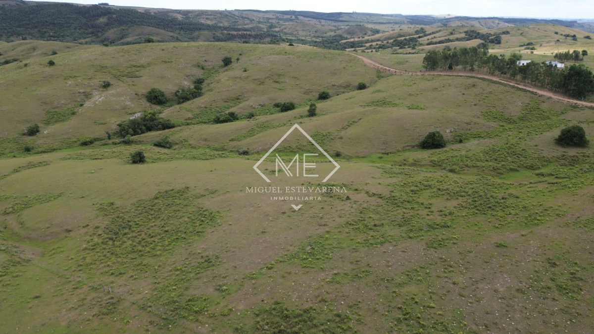 Chacra ID.867 - Oportunidad en Lavalleja: Chacra de Fácil Acceso y Lista para Escriturar