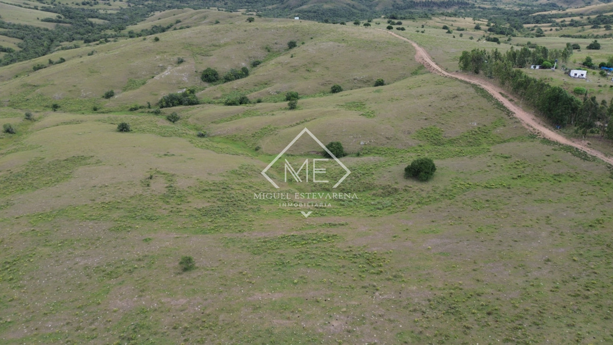 Chacra ID.867 - Oportunidad en Lavalleja: Chacra de Fácil Acceso y Lista para Escriturar