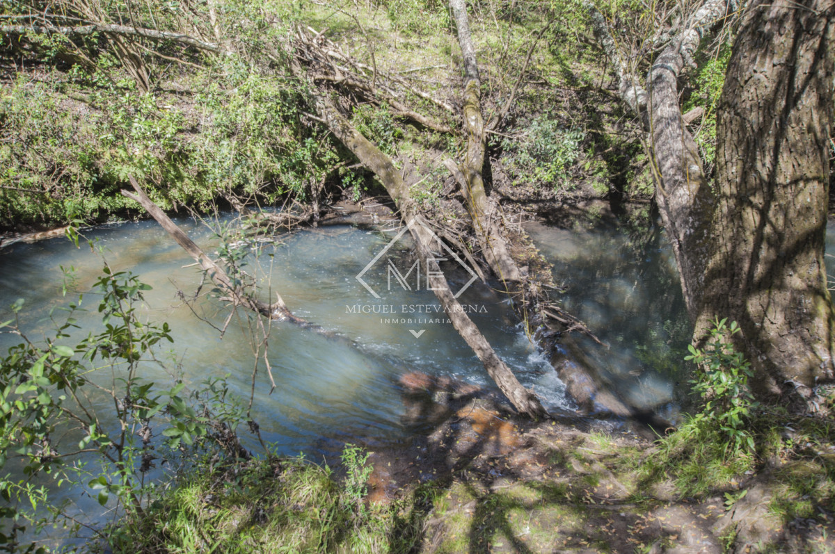 Chacra ID.897 - Chacra en Joyas del Ramallo - 5 Hás con Acceso a 130 Hás de Naturaleza y Arroyo