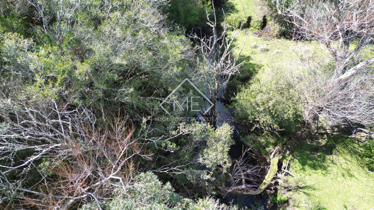 Chacra ID.897 - Chacra en Joyas del Ramallo - 5 Hás con Acceso a 130 Hás de Naturaleza y Arroyo