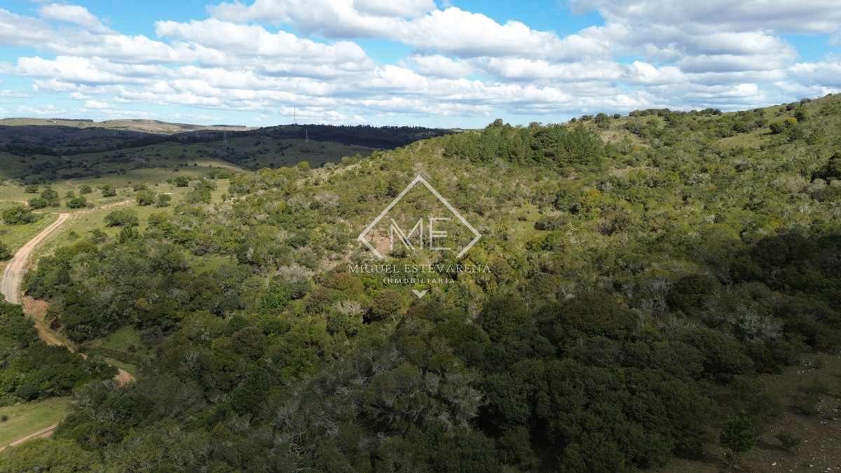 Chacra ID.895 - Venta de Chacra de 5 Hectáreas en Joyas del Ramallo - Chacra N° 3
