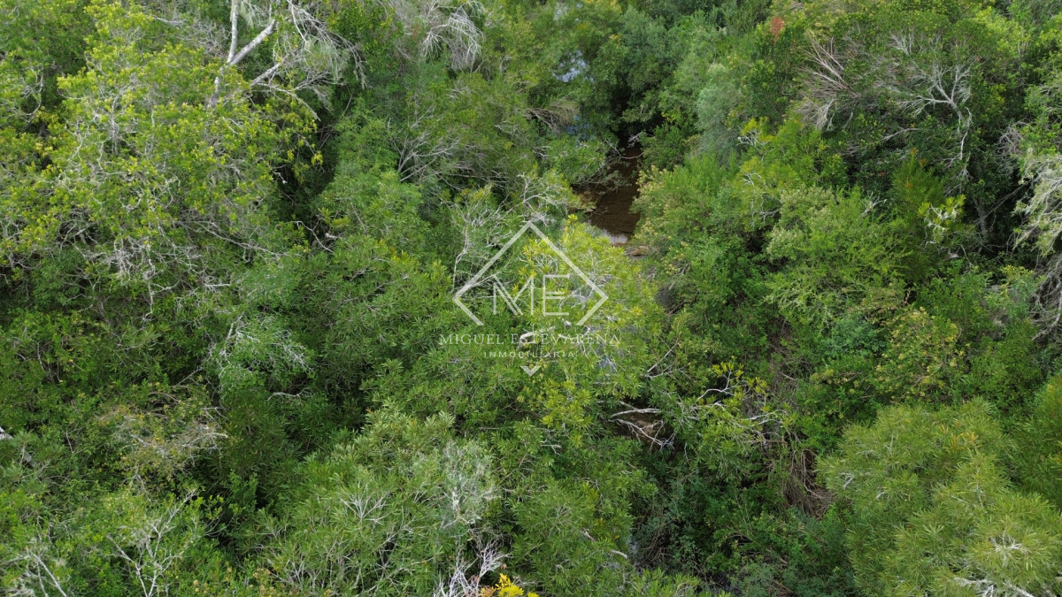 Chacra ID.869 - Oportunidad en Los Tapes - Chacra con Agua Natural y Financiación