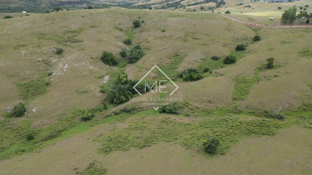 Chacra ID.867 - Oportunidad en Lavalleja: Chacra de Fácil Acceso y Lista para Escriturar
