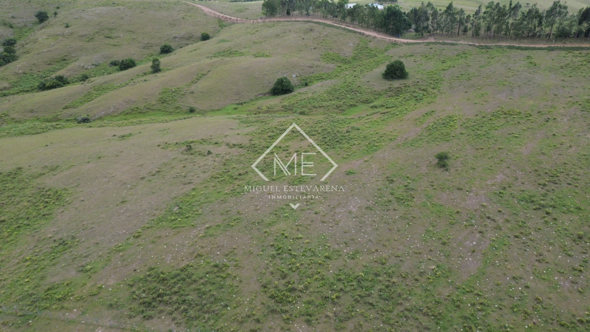 Chacra ID.867 - Oportunidad en Lavalleja: Chacra de Fácil Acceso y Lista para Escriturar