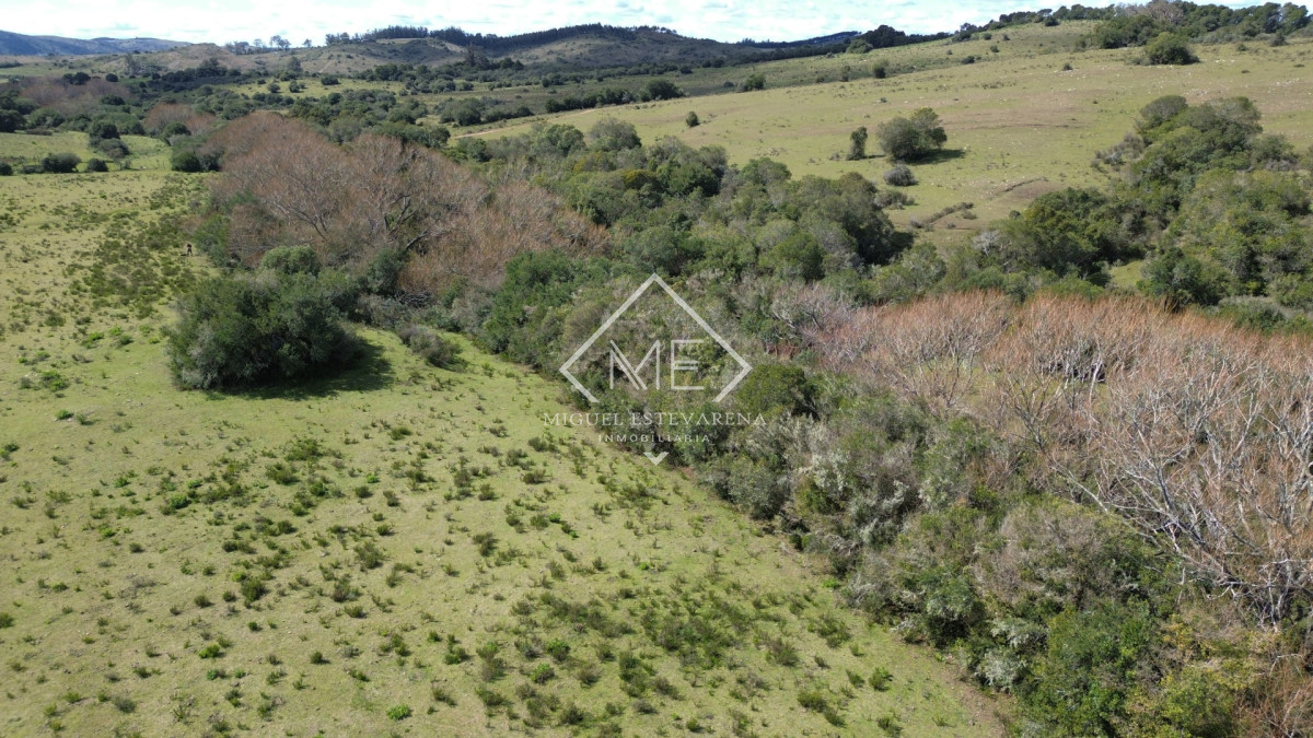 Chacra ID.897 - Chacra en Joyas del Ramallo - 5 Hás con Acceso a 130 Hás de Naturaleza y Arroyo