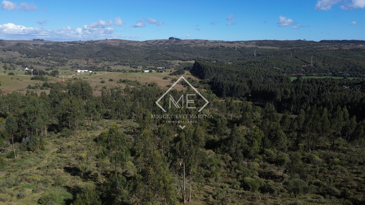 Chacra ID.840 - En venta Chacras En Ruta 60 - Financiación Propia, Sin Gastos Comunes