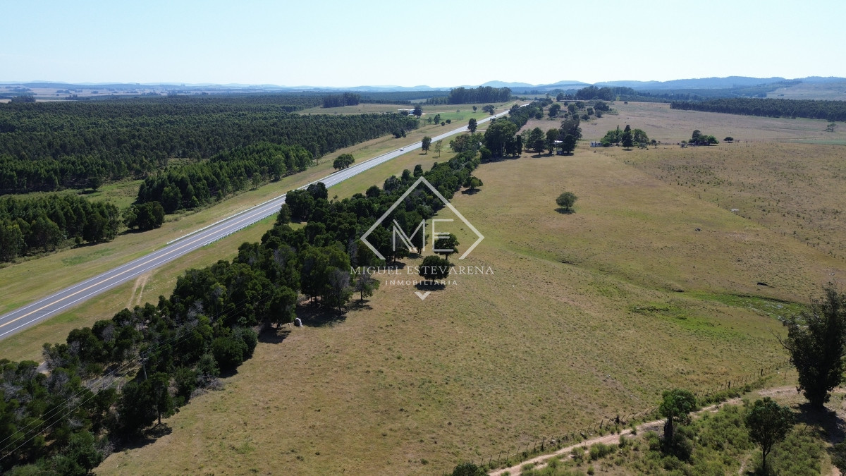 Chacra ID.773 - Chacra de 5 hás en venta