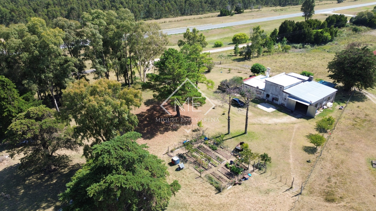 Chacra ID.773 - Chacra de 5 hás en venta