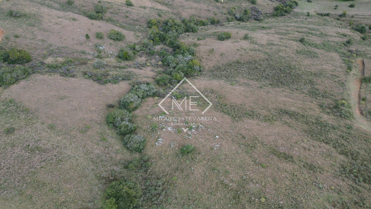 Chacra ID.842 - Venta Chacras Con Vista Panorámica - Desde 5 Ha., Minas