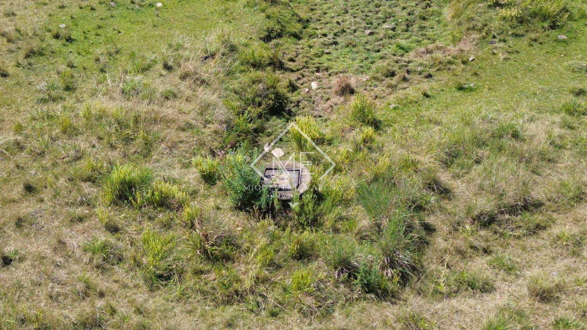 Chacra ID.773 - Chacra de 5 hás en venta