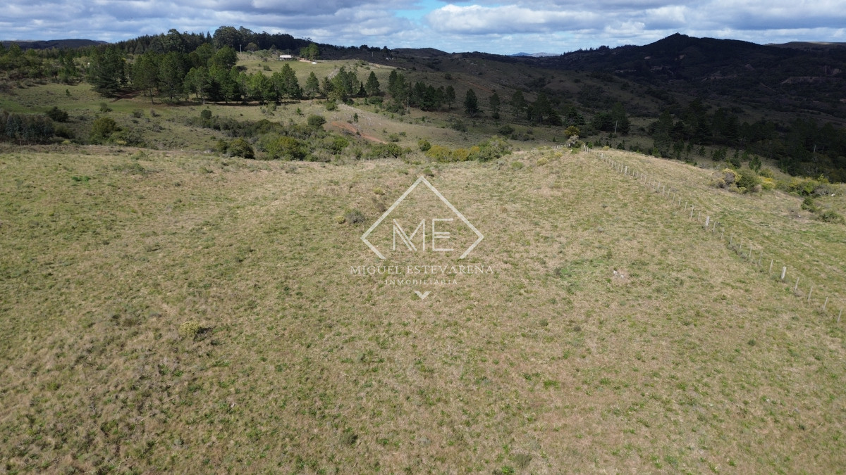 Chacra ID.842 - Venta Chacras Con Vista Panorámica - Desde 5 Ha., Minas