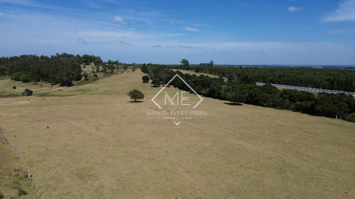 Chacra ID.773 - Chacra de 5 hás en venta