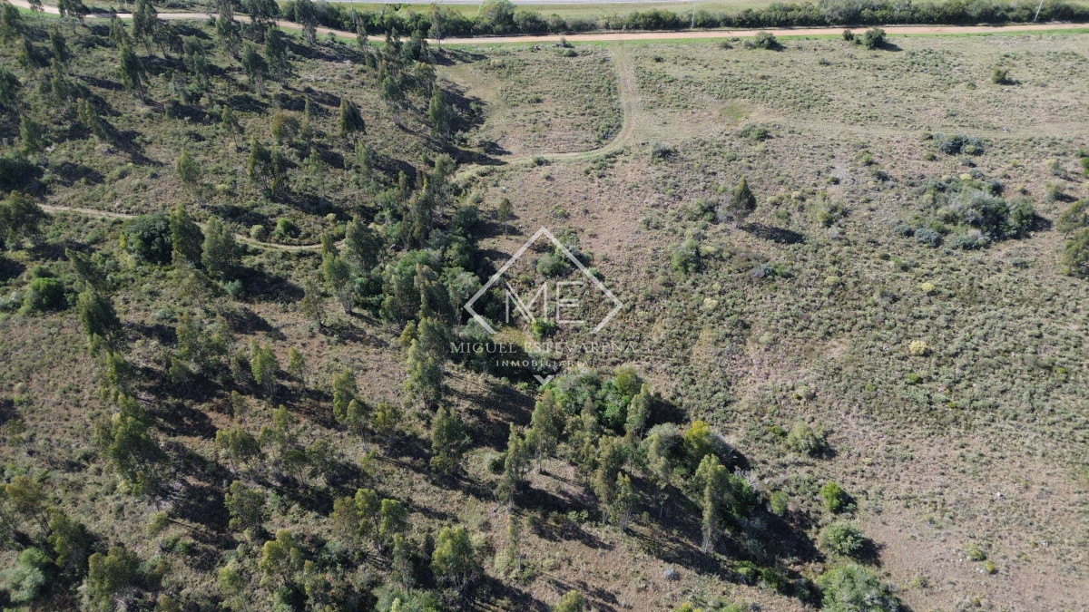 Chacra ID.841 - Chacras Listas Para Escriturar - Acceso Ruta, Venta