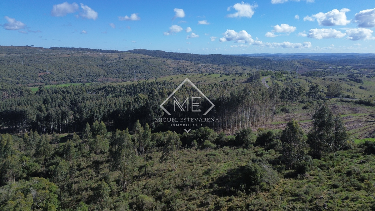 Chacra ID.840 - En venta Chacras En Ruta 60 - Financiación Propia, Sin Gastos Comunes