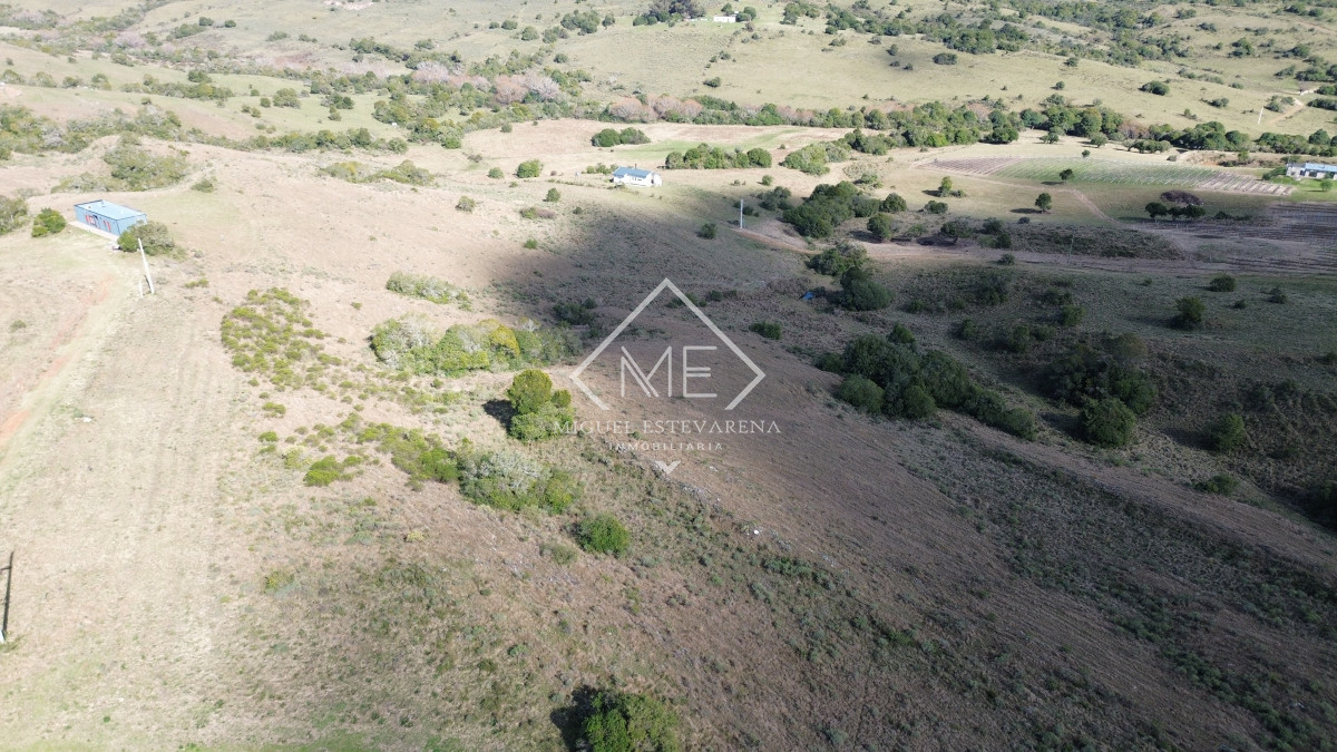 Chacra ID.841 - Chacras Listas Para Escriturar - Acceso Ruta, Venta