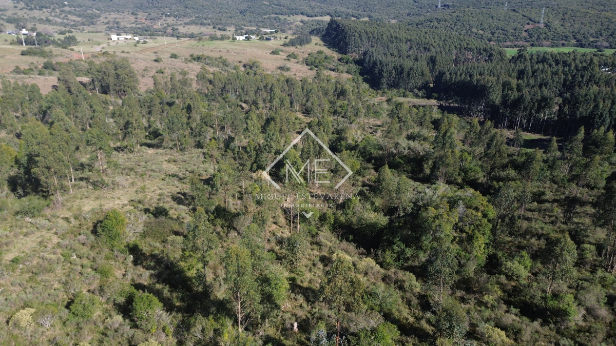 Chacra ID.840 - En venta Chacras En Ruta 60 - Financiación Propia, Sin Gastos Comunes