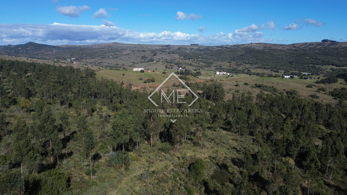 Chacra ID.840 - En venta Chacras En Ruta 60 - Financiación Propia, Sin Gastos Comunes