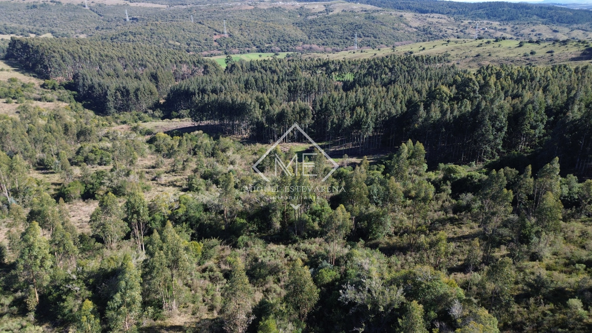 Chacra ID.840 - En venta Chacras En Ruta 60 - Financiación Propia, Sin Gastos Comunes