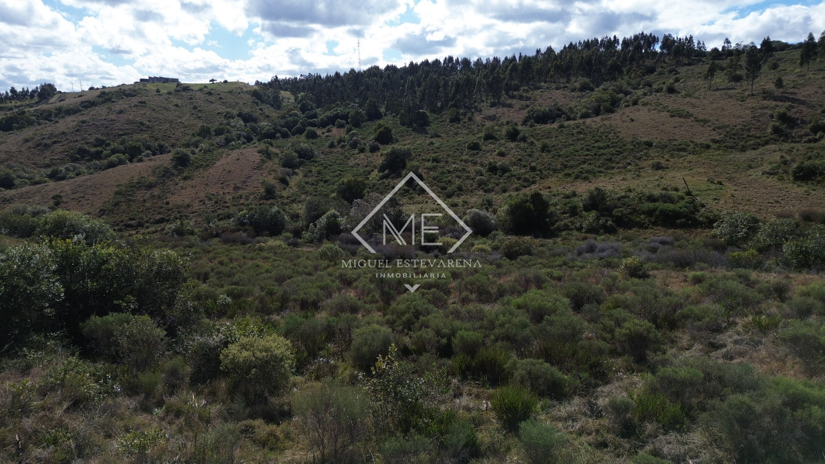 Chacra ID.841 - Chacras Listas Para Escriturar - Acceso Ruta, Venta