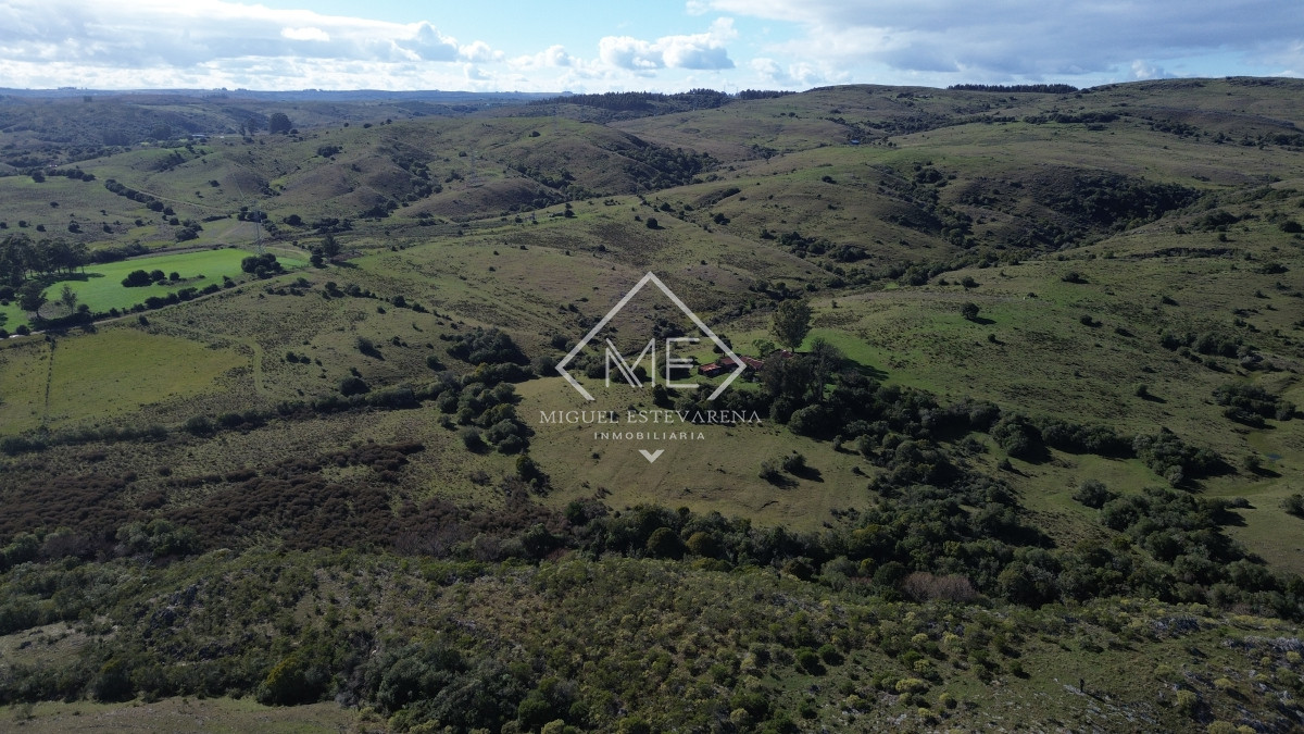 Chacra ID.839 - Venta Chacras Con Vista Panorámica - Desde 5 Ha., Minas