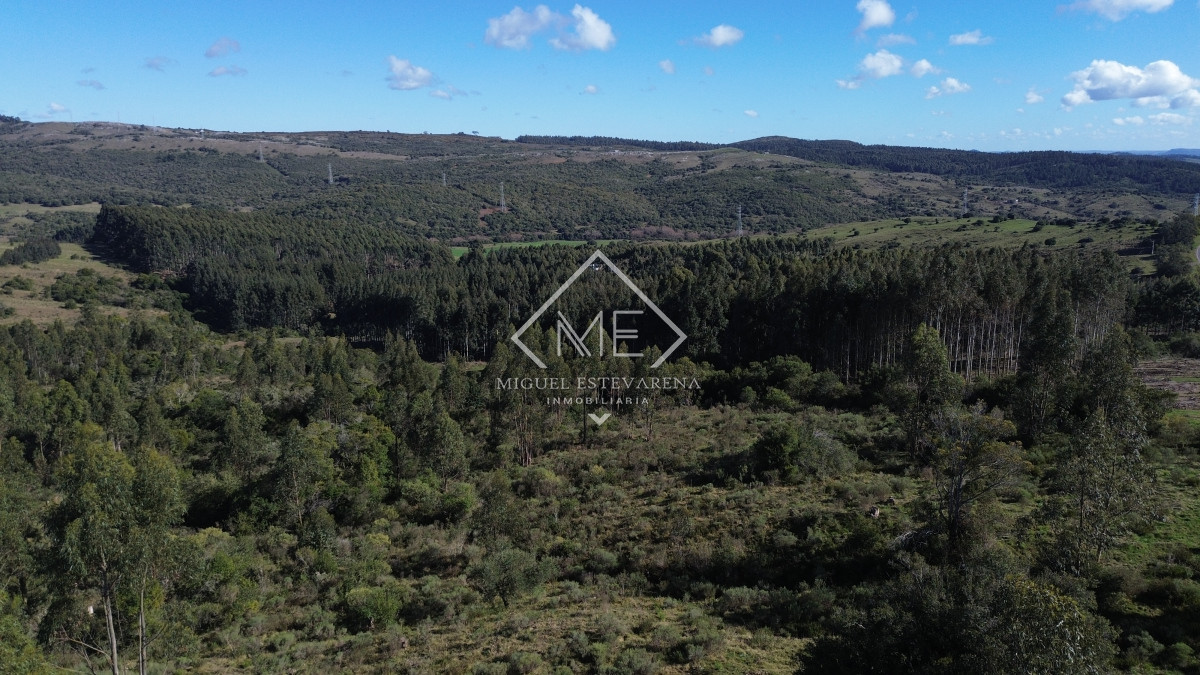 Chacra ID.840 - En venta Chacras En Ruta 60 - Financiación Propia, Sin Gastos Comunes