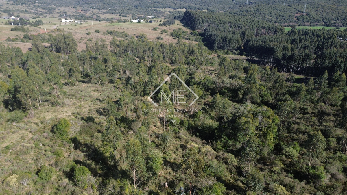 Chacra ID.840 - En venta Chacras En Ruta 60 - Financiación Propia, Sin Gastos Comunes