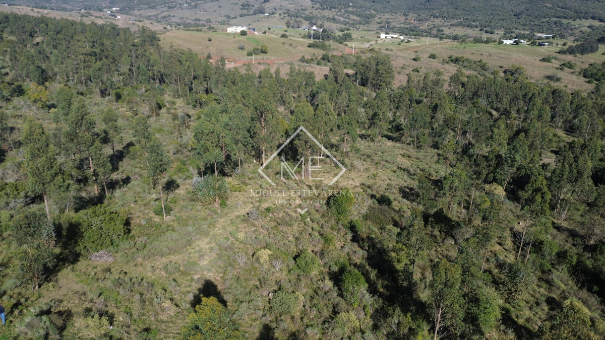 Chacra ID.840 - En venta Chacras En Ruta 60 - Financiación Propia, Sin Gastos Comunes