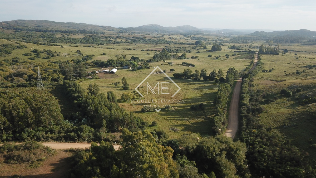 Campo Ref.725 - Campo en venta a 11 km de Minas