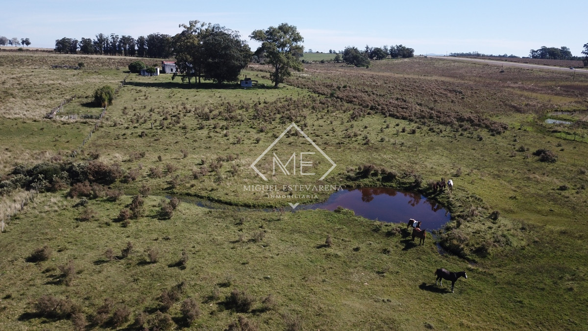 Campo Ref.707 - Campo de 30 hás en venta a 17 km de San Carlos
