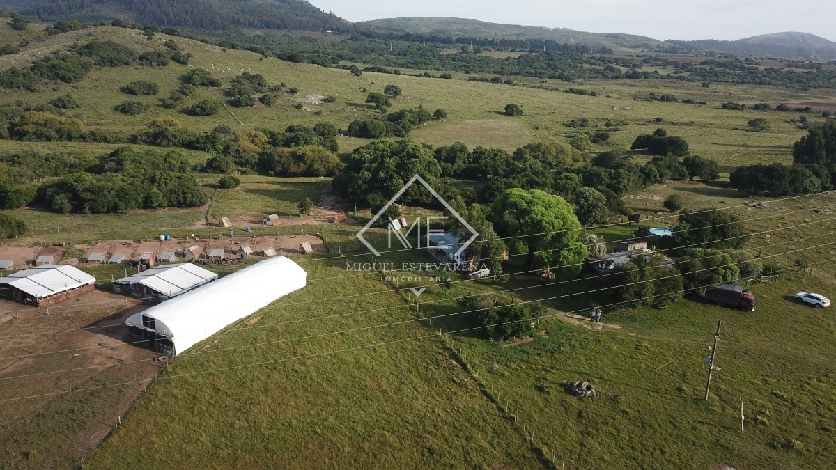Campo Ref.725 - Campo en venta a 11 km de Minas