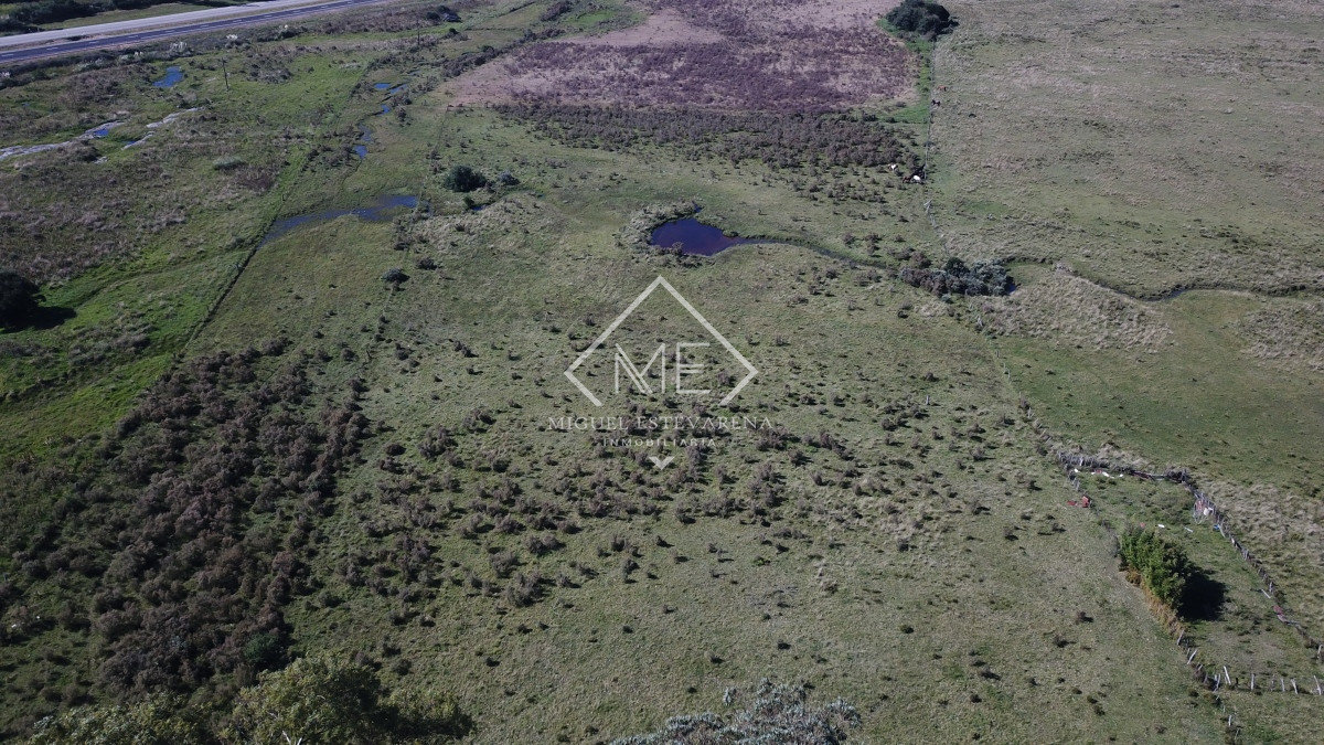 Campo Ref.707 - Campo de 30 hás en venta a 17 km de San Carlos