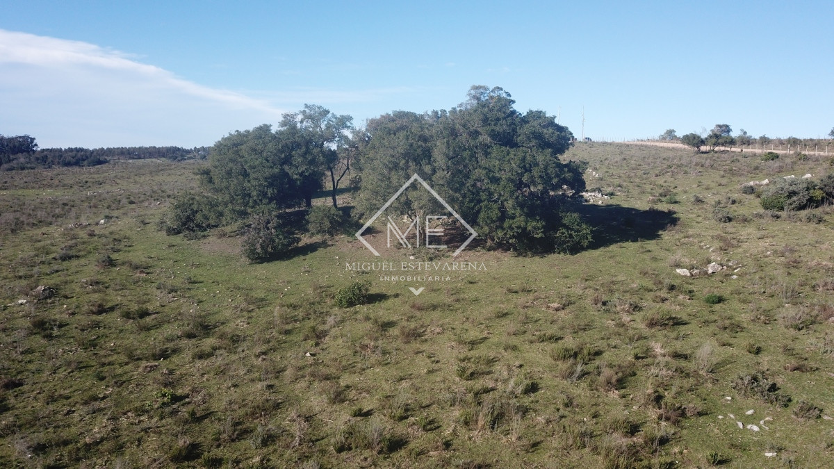 Campo Ref.675 - Campo en Rural, 