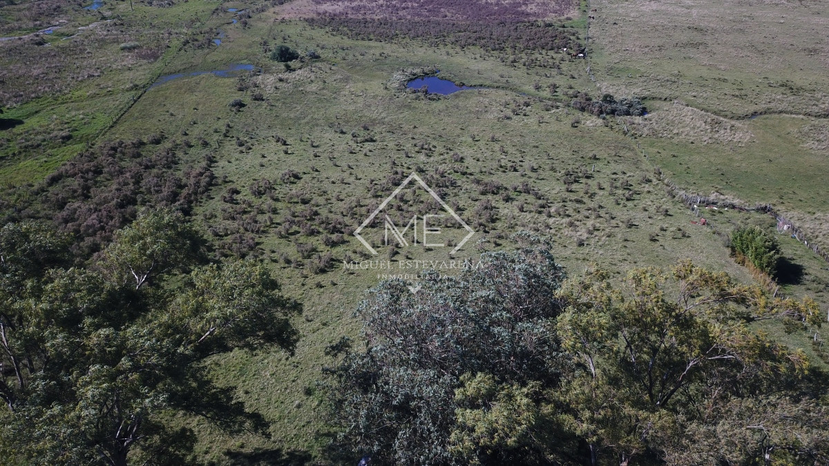 Campo Ref.707 - Campo de 30 hás en venta a 17 km de San Carlos
