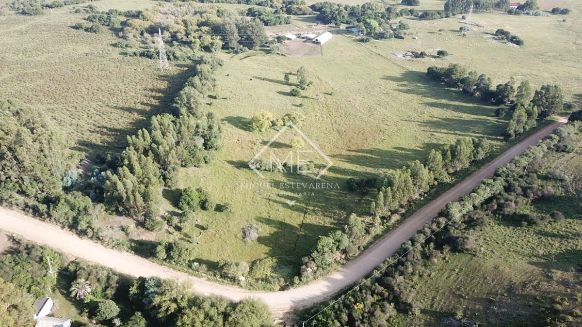 Campo Ref.725 - Campo en venta a 11 km de Minas