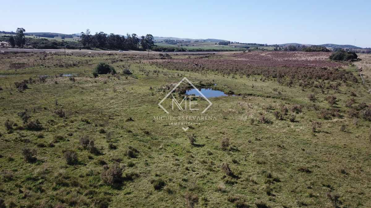 Campo Ref.707 - Campo de 30 hás en venta a 17 km de San Carlos