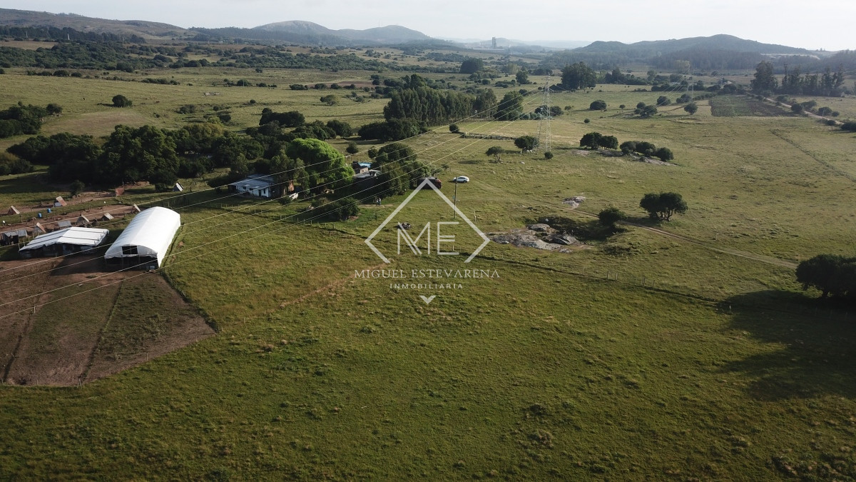 Campo Ref.725 - Campo en venta a 11 km de Minas