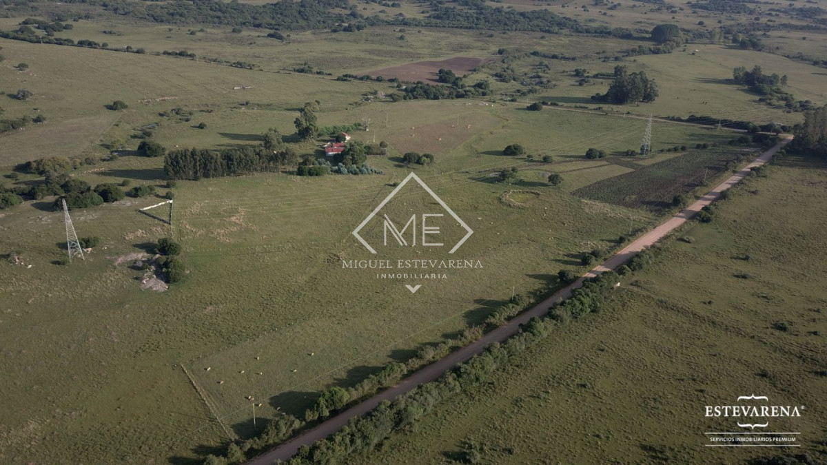 Campo Ref.557 - Campo en venta  